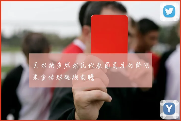 贝尔纳多席尔瓦代表葡萄牙对阵刚果金传球路线前瞻