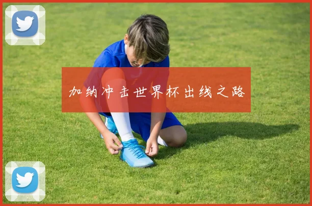 加纳冲击世界杯出线之路