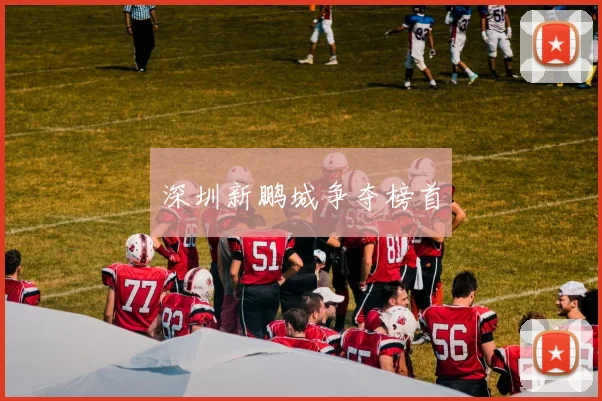 深圳新鹏城争夺榜首