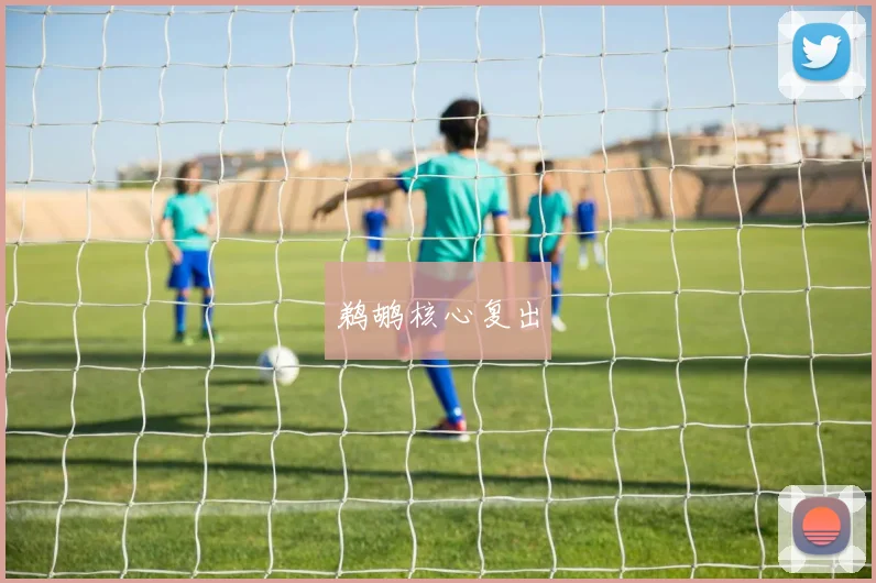 鹈鹕核心复出