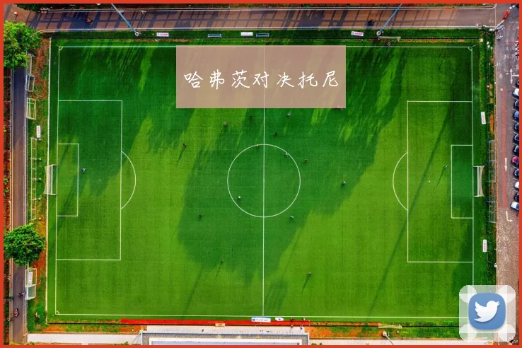 哈弗茨对决托尼