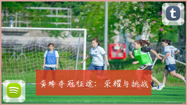 黄蜂夺冠征途：荣耀与挑战