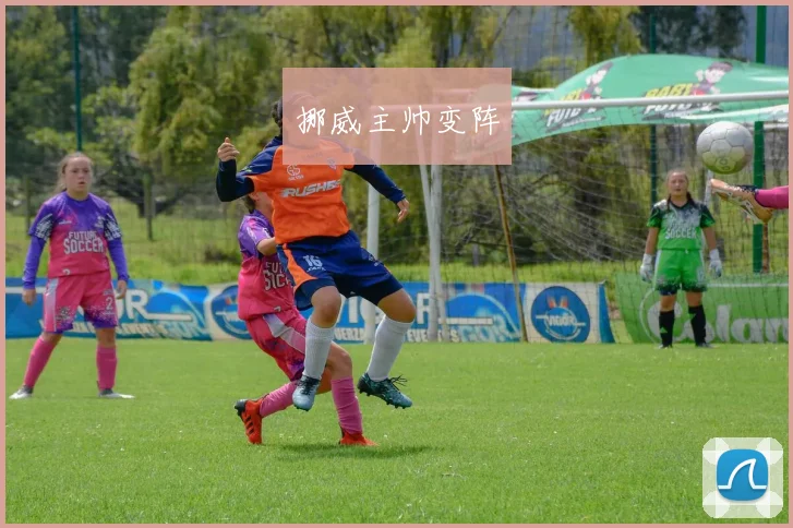 挪威主帅变阵