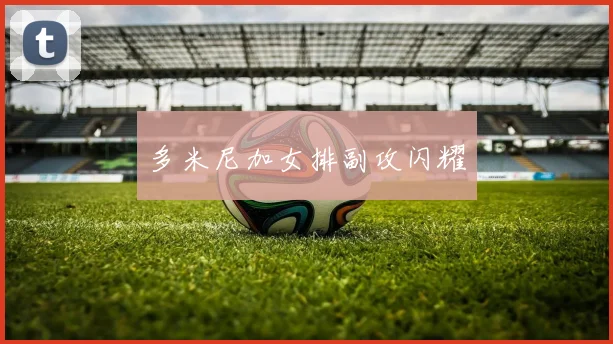 多米尼加女排副攻闪耀