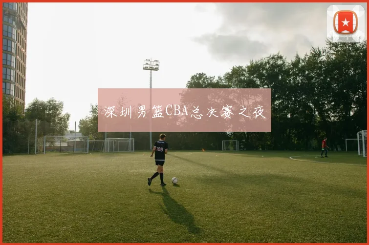 深圳男篮CBA总决赛之夜
