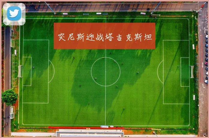 突尼斯迎战塔吉克斯坦