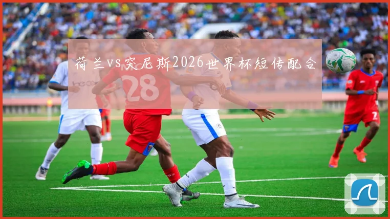 荷兰vs突尼斯2026世界杯短传配合