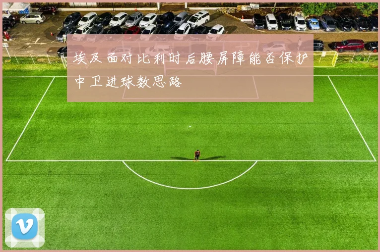 埃及面对比利时后腰屏障能否保护中卫进球数思路
