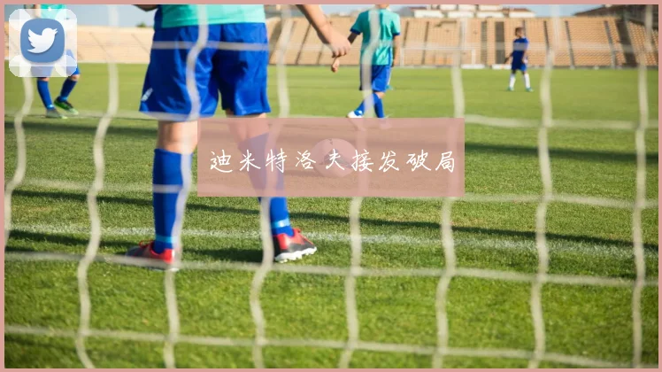 迪米特洛夫接发破局