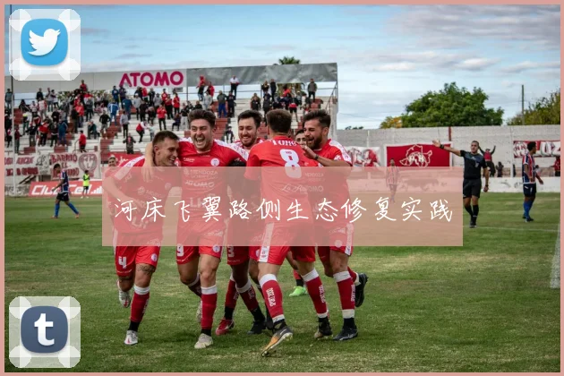 河床飞翼路侧生态修复实践
