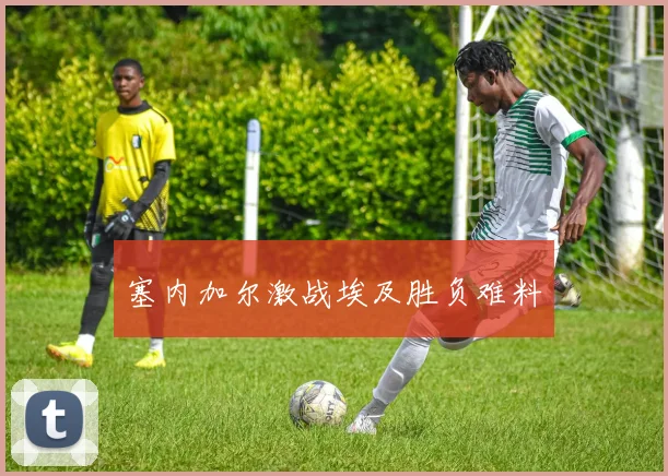 塞内加尔激战埃及胜负难料