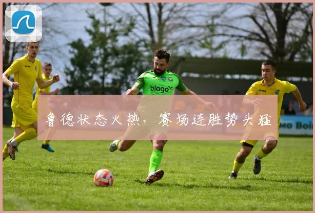 鲁德状态火热，赛场连胜势头猛