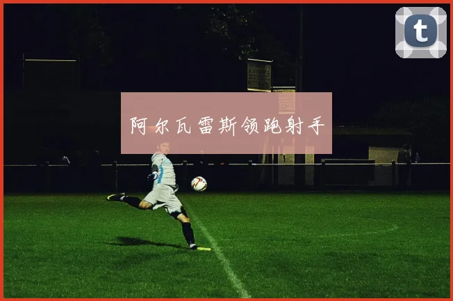 阿尔瓦雷斯领跑射手