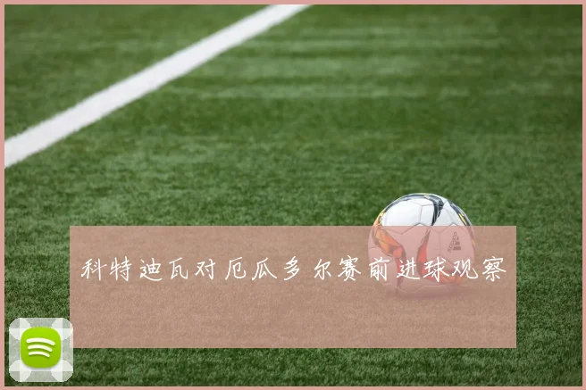 科特迪瓦对厄瓜多尔赛前进球观察