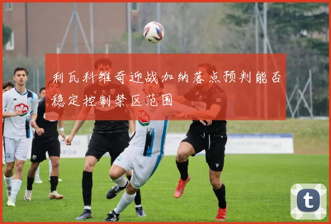 利瓦科维奇迎战加纳落点预判能否稳定控制禁区范围